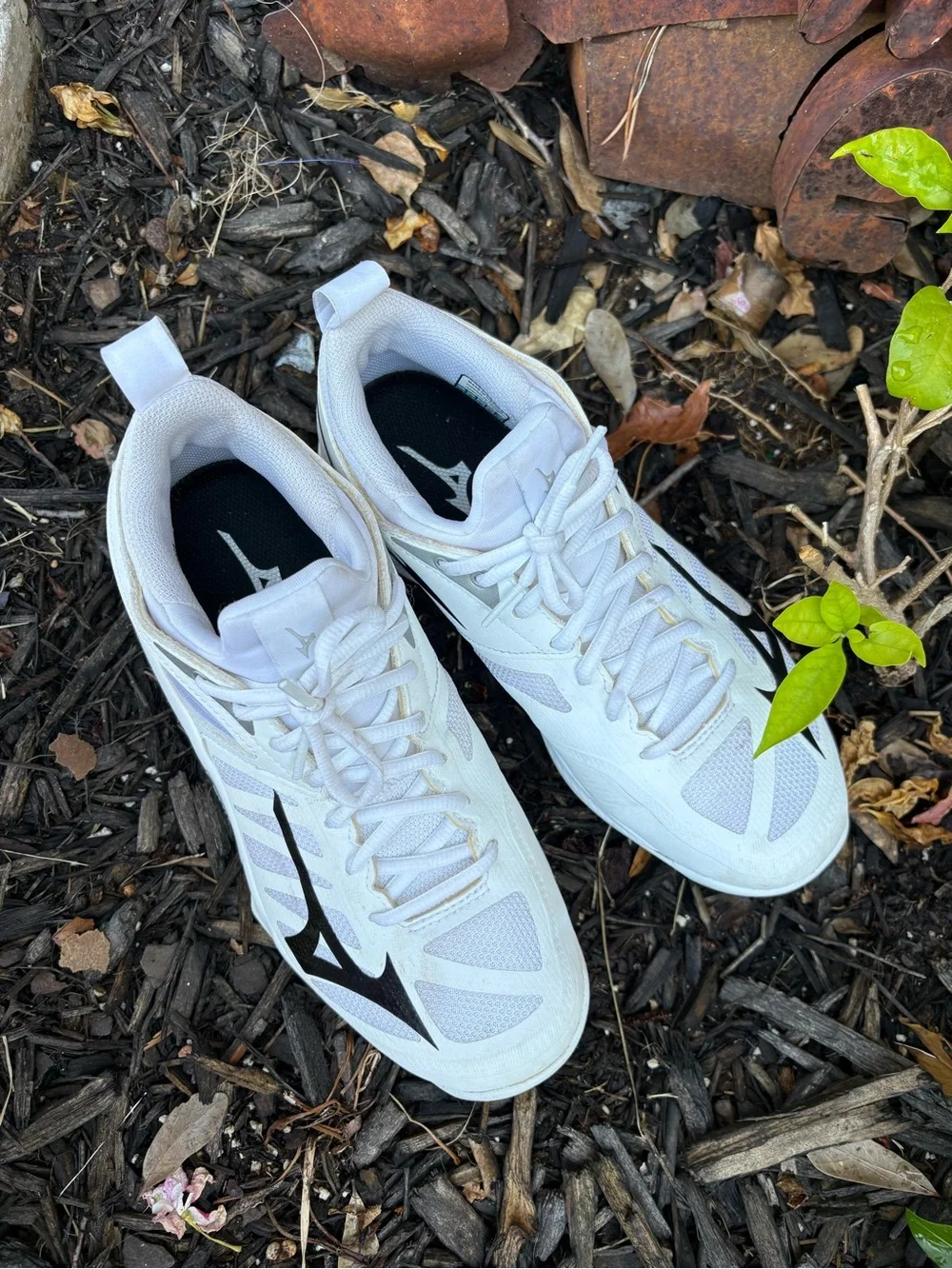 Mizuno Women's Wave Dimension Volleyball Shoes